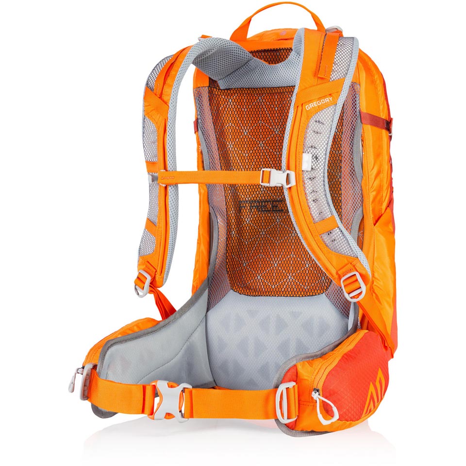gregory salvo 24 backpack
