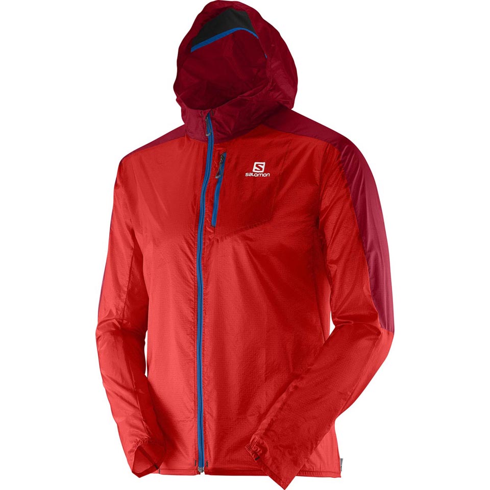 salomon fast wing