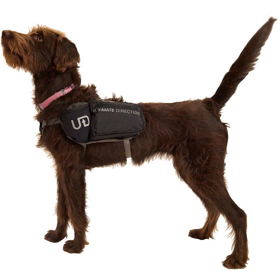 Ultimate Direction Dog Vest Enwild
