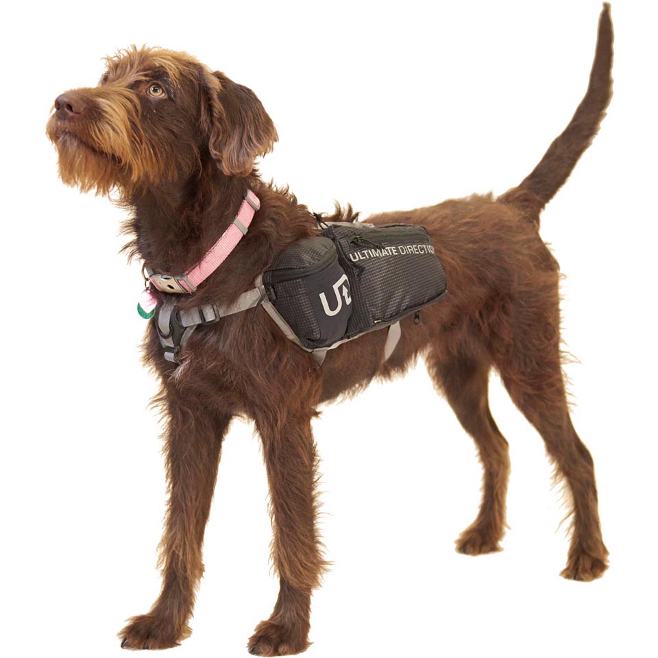 Ultimate Direction Dog Vest Enwild