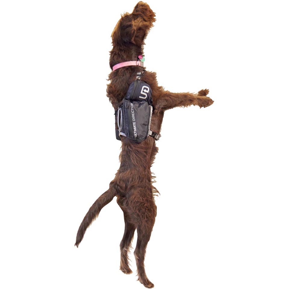 Ultimate Direction Dog Vest Enwild