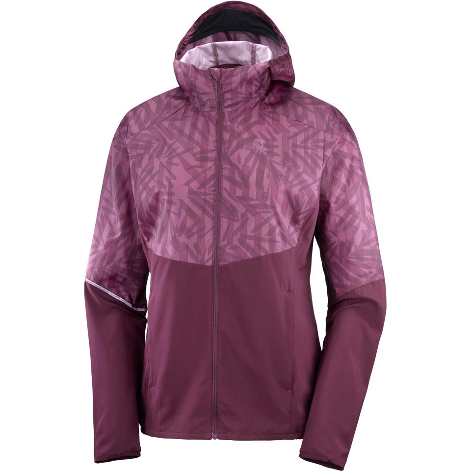 hoodie salomon