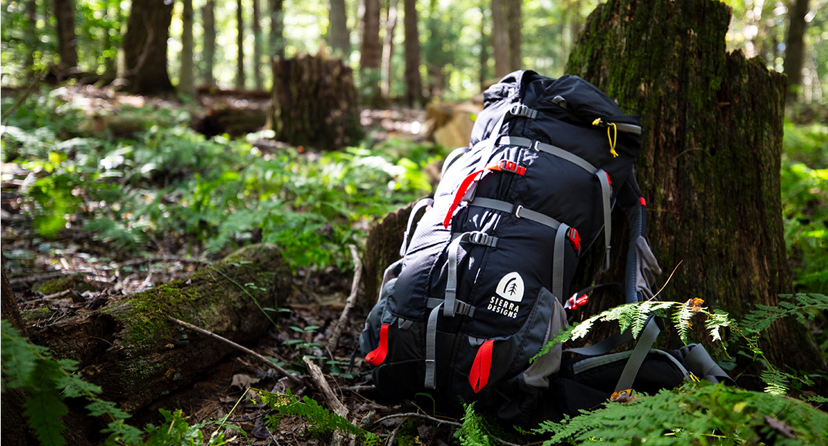 backpacking pack sitting on ground in forest with ferns