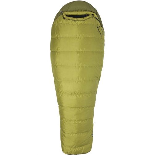 Radium 30 Degree Regular