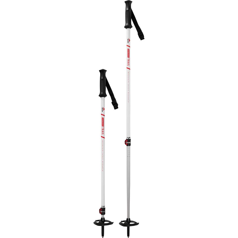 並行輸入品　MSR DynaLock Explore Poles 41nIzYCC2SL._AC_UF350,