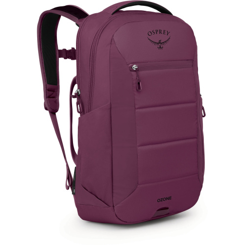 Ozone Laptop Backpack (Used) product image - main
