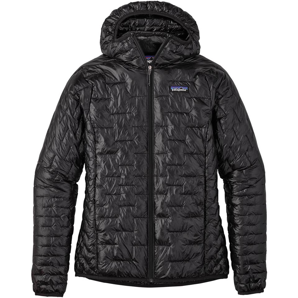 Patagonia Women's Micro Puff Hoody | Enwild