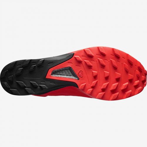 sense lab 8
