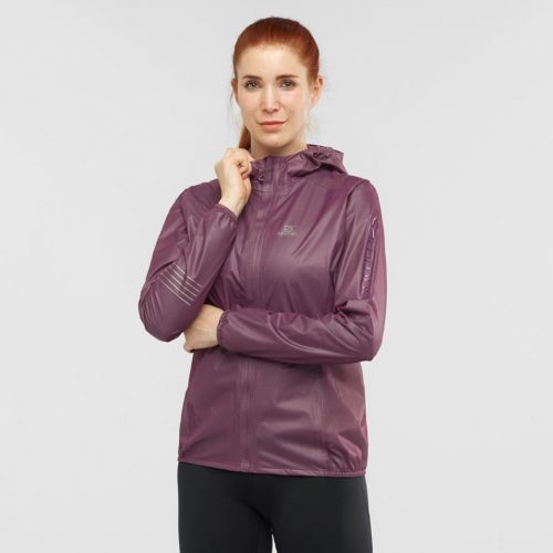 lightning race wp jkt w