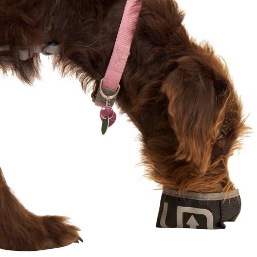 ultimate direction dog